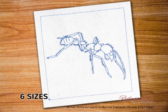 Bullet Ant in the Jungle Redwork: A Seasonal Review